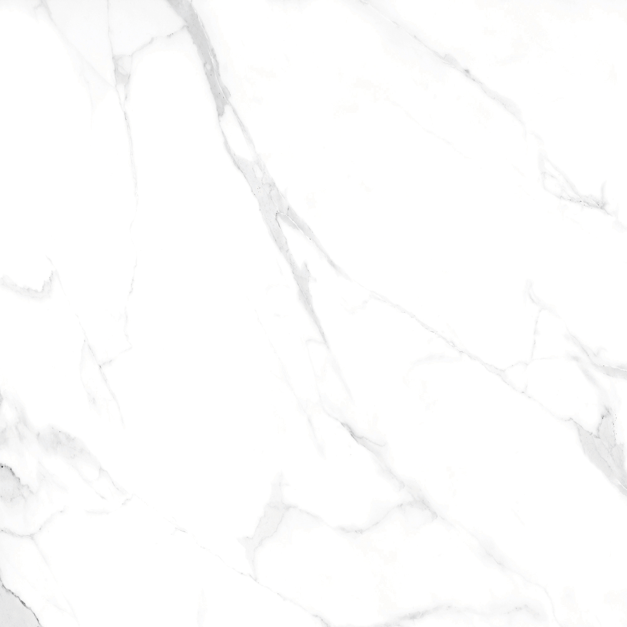 Gạch ALINA WHITE R1 100x100